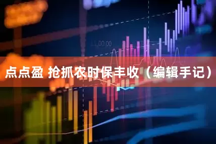 点点盈 抢抓农时保丰收（编辑手记）
