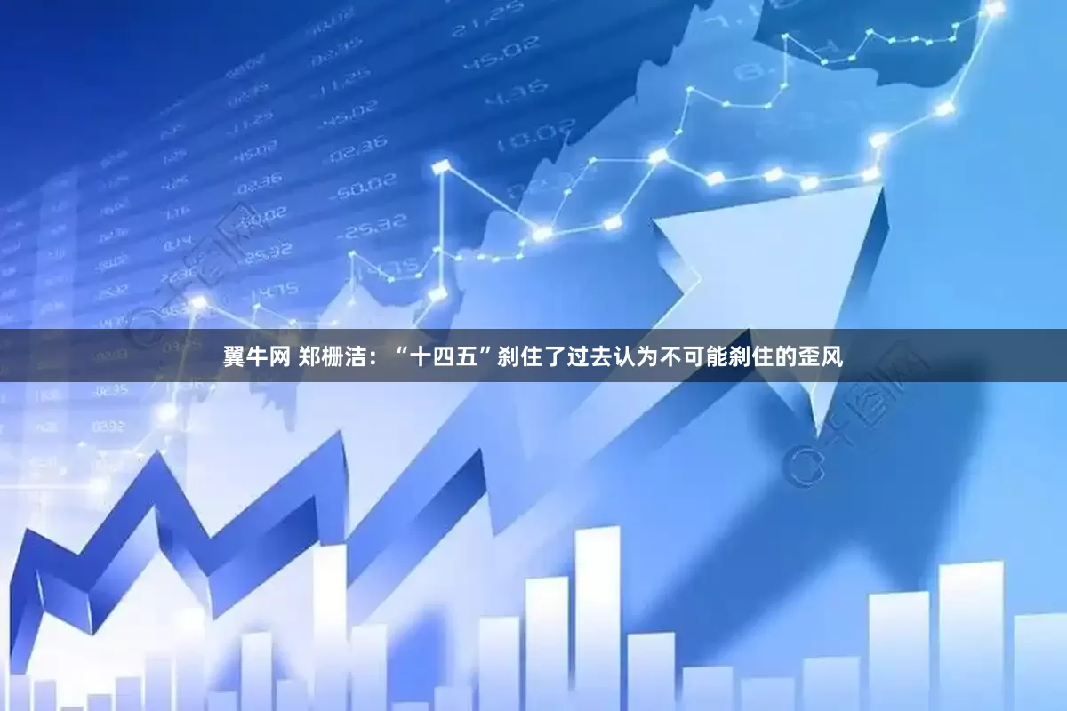 翼牛网 郑栅洁：“十四五”刹住了过去认为不可能刹住的歪风
