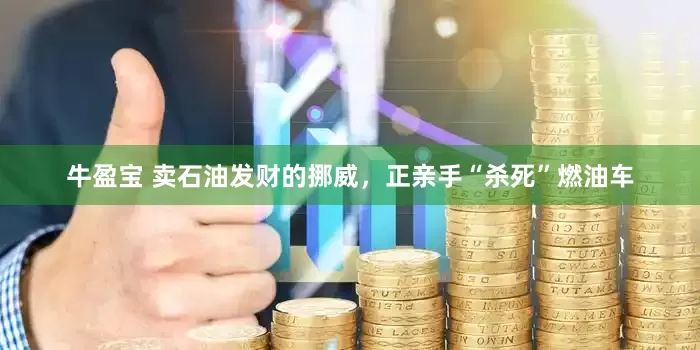 牛盈宝 卖石油发财的挪威，正亲手“杀死”燃油车