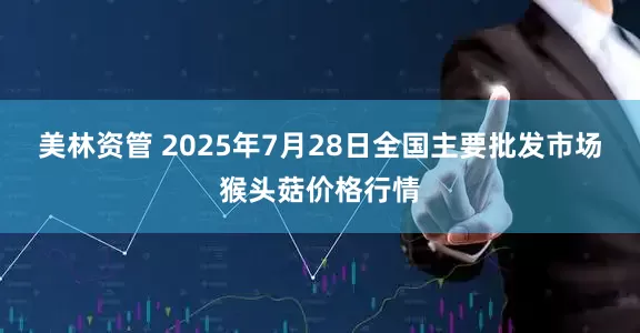 美林资管 2025年7月28日全国主要批发市场猴头菇价格行情