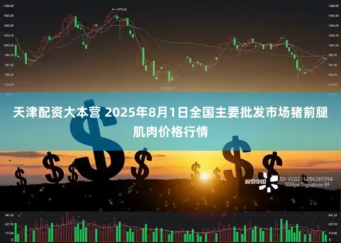 天津配资大本营 2025年8月1日全国主要批发市场猪前腿肌肉价格行情