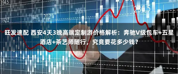 旺发速配 西安4天3晚高端定制游价格解析：奔驰V级包车+五星酒店+茶艺师随行，究竟要花多少钱？